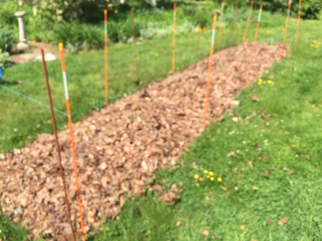 Sheet Composting Project