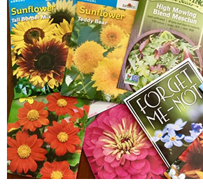 Soil and Spirit:  Seed Catalogues